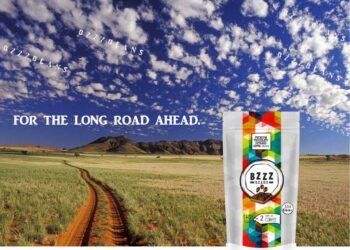 Bzzz Beans: All-Natural Chocolate Covered Espresso Beans