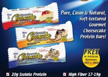 ANSI Gourmet Cheesecake Bars – Reinvented: Cheesecake Has Never Been So Nutritious