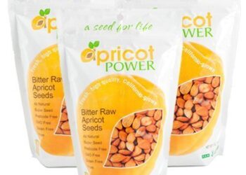 Apricot Power: Using the Power of Apricot Seeds to Help Combat Cancer, Arthritis, and Other Skin and Health Issues