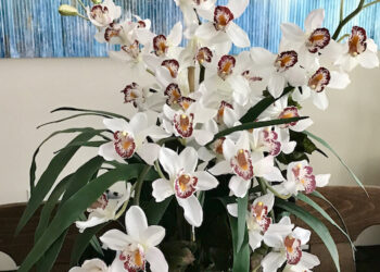 Commercial Silk Review: Beautiful Flowers and Plants to Help Brighten Up Your Home, Inside and Out