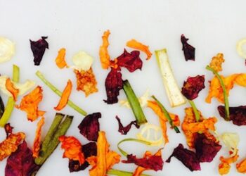 Veggie Evolution: A Unique Alternative to Getting Your Kids to Eat Their Veggies