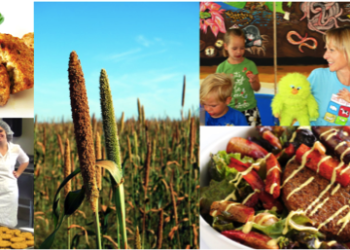 Hilary’s Eat Well Review: a Delicious Array of Veggie Burgers and Bites that Everyone Will Love