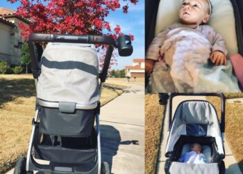 Diono Quantum Stroller Review: a High-end Stroller at a Great Price