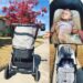 Diono Quantum Stroller Review: a High-end Stroller at a Great Price