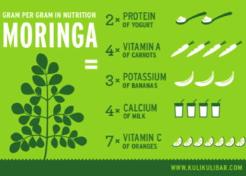 Kuli Kuli Bars: Born in the Heart of West Africa and Brought to You Thanks to the Moringa Leaf