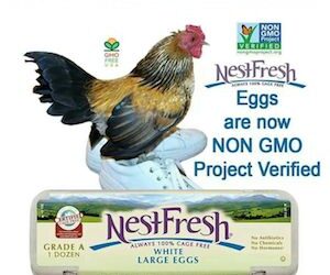 NestFresh Eggs: So Fresh You Might As Well Have Pulled Them From the Nest Yourself