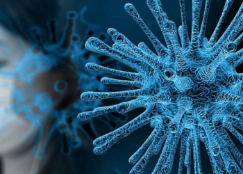 A Holistic Approach to the Coronavirus