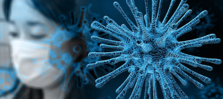 A Holistic Approach to the Coronavirus