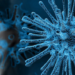 A Holistic Approach to the Coronavirus