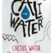 Caliwater: Cactus Water that Hydrates from the Inside, Out
