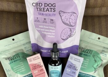 CBD for dogs
