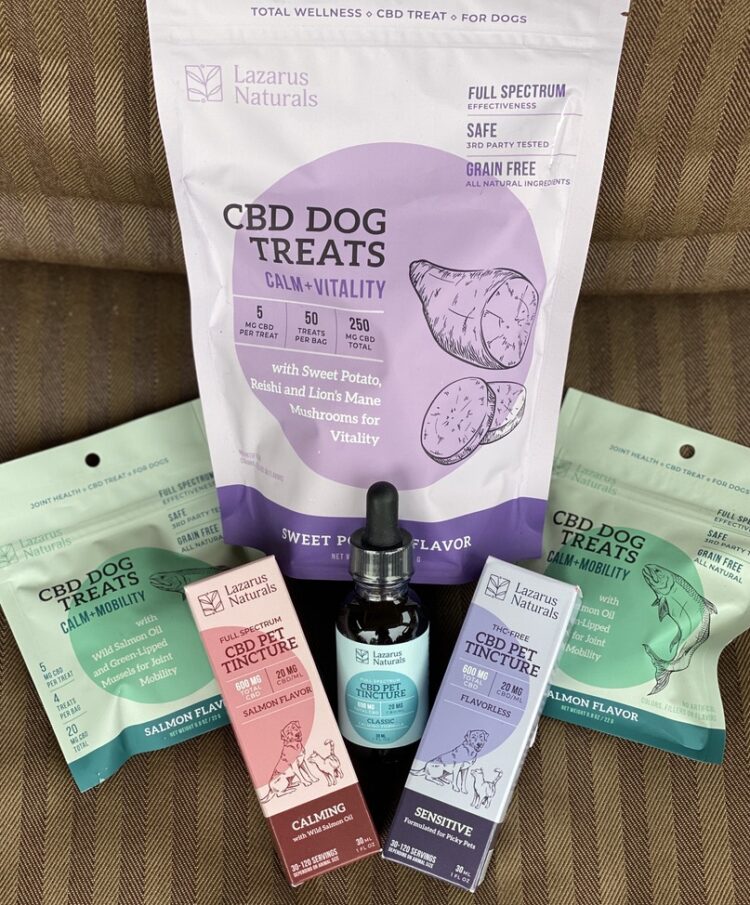 CBD for dogs