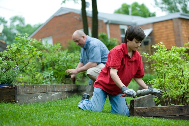 tips on gardening