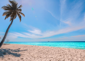 how to stay in shape for the summer