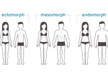 best foods for my body type