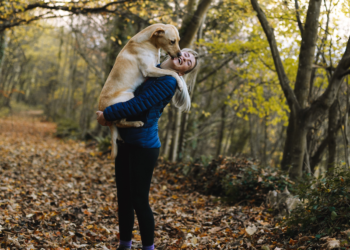 how to keep your dog healthy