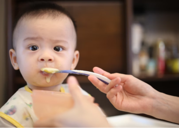 the best baby foods