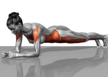 the best core exercises