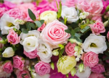 flowers for friendship