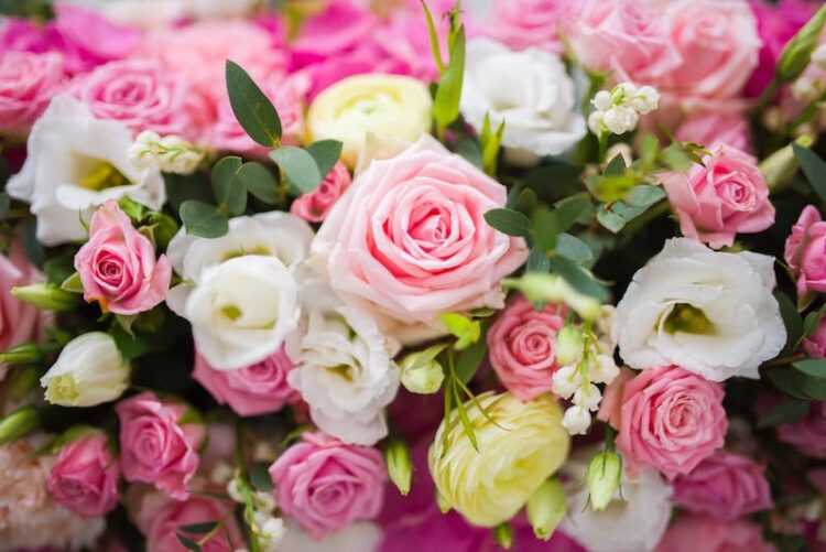 flowers for friendship