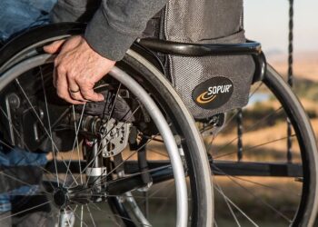 what is a disability worker