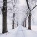 natural ways to get energy in winter