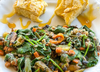 splendid spoon review