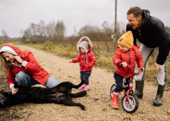 the best family dogs