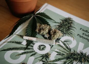 what is cannabis